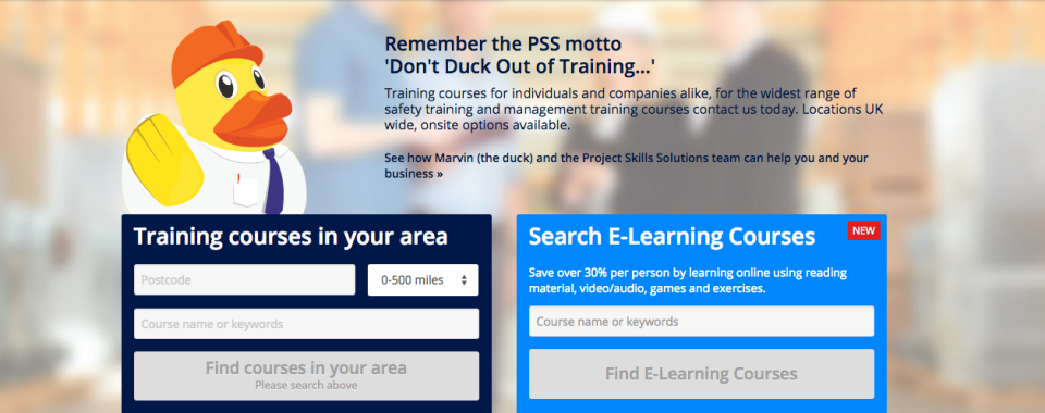 Main Project Skills Solutions website image